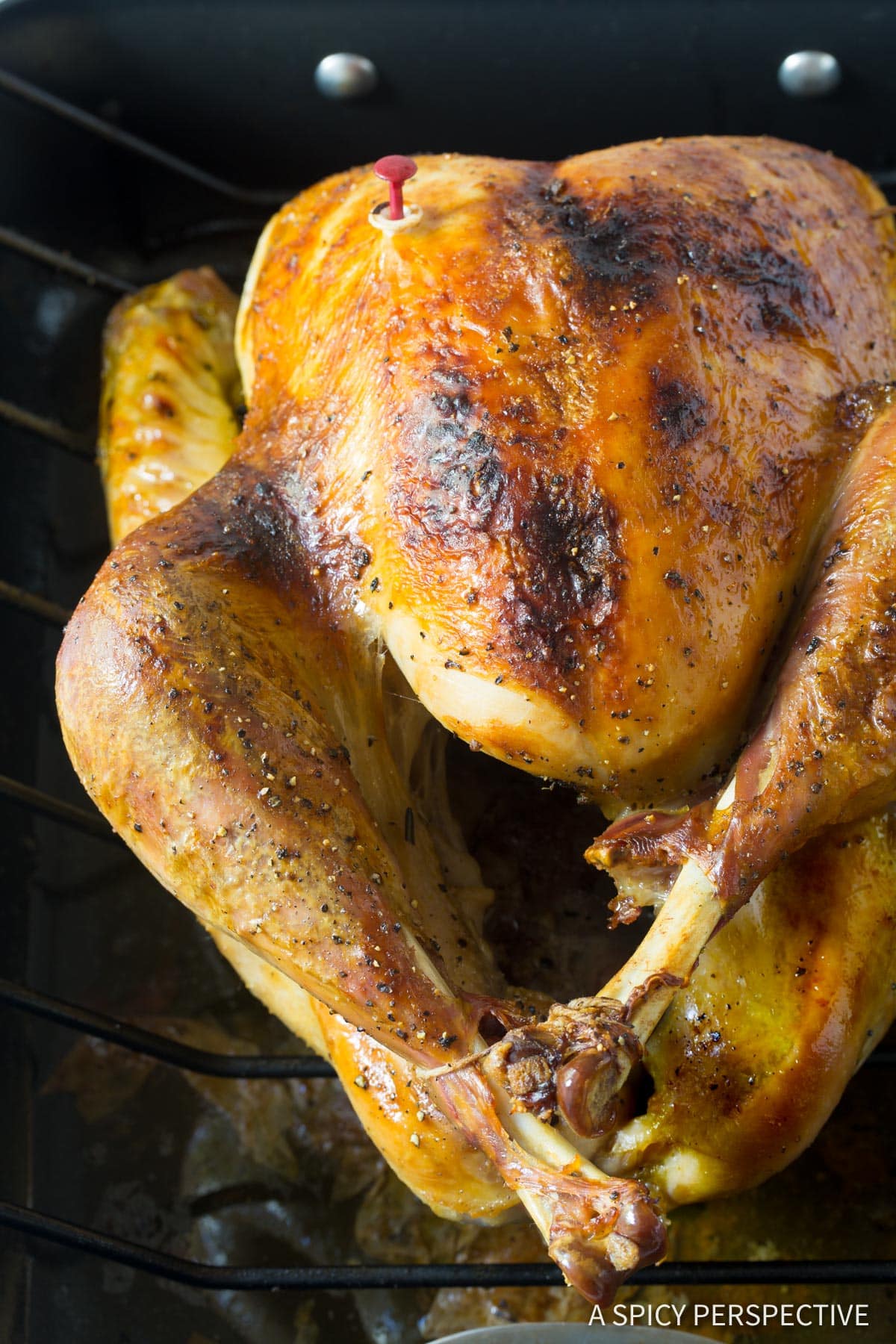 Roast turkey in a roasting pan in an oven after using Turkey Brine Recipe.