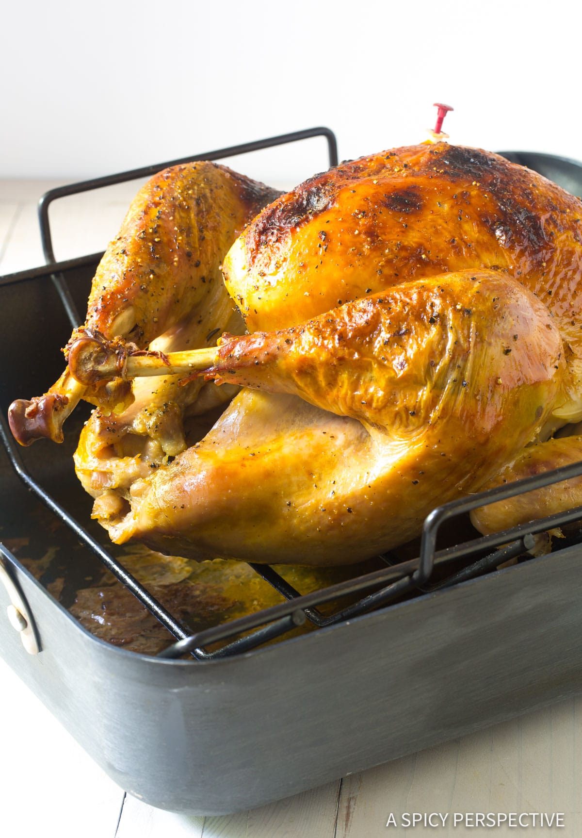 Shot of oven baked turkey in a roasting pan.  