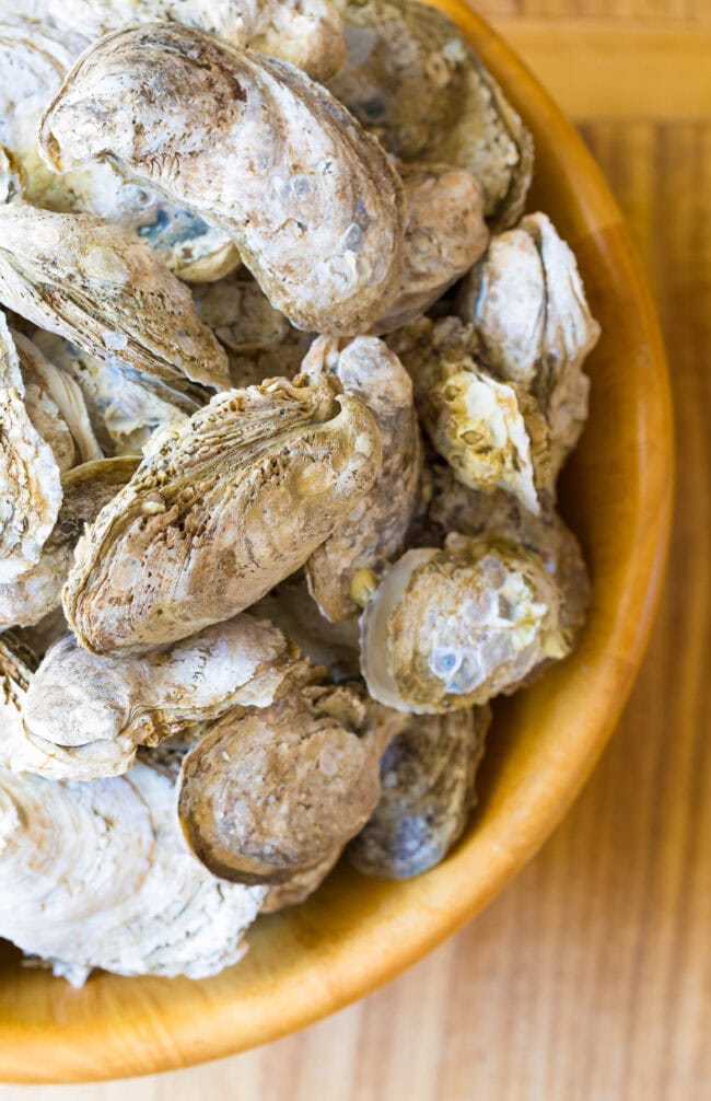 How to Shuck Oysters - bowl full of raw oysters